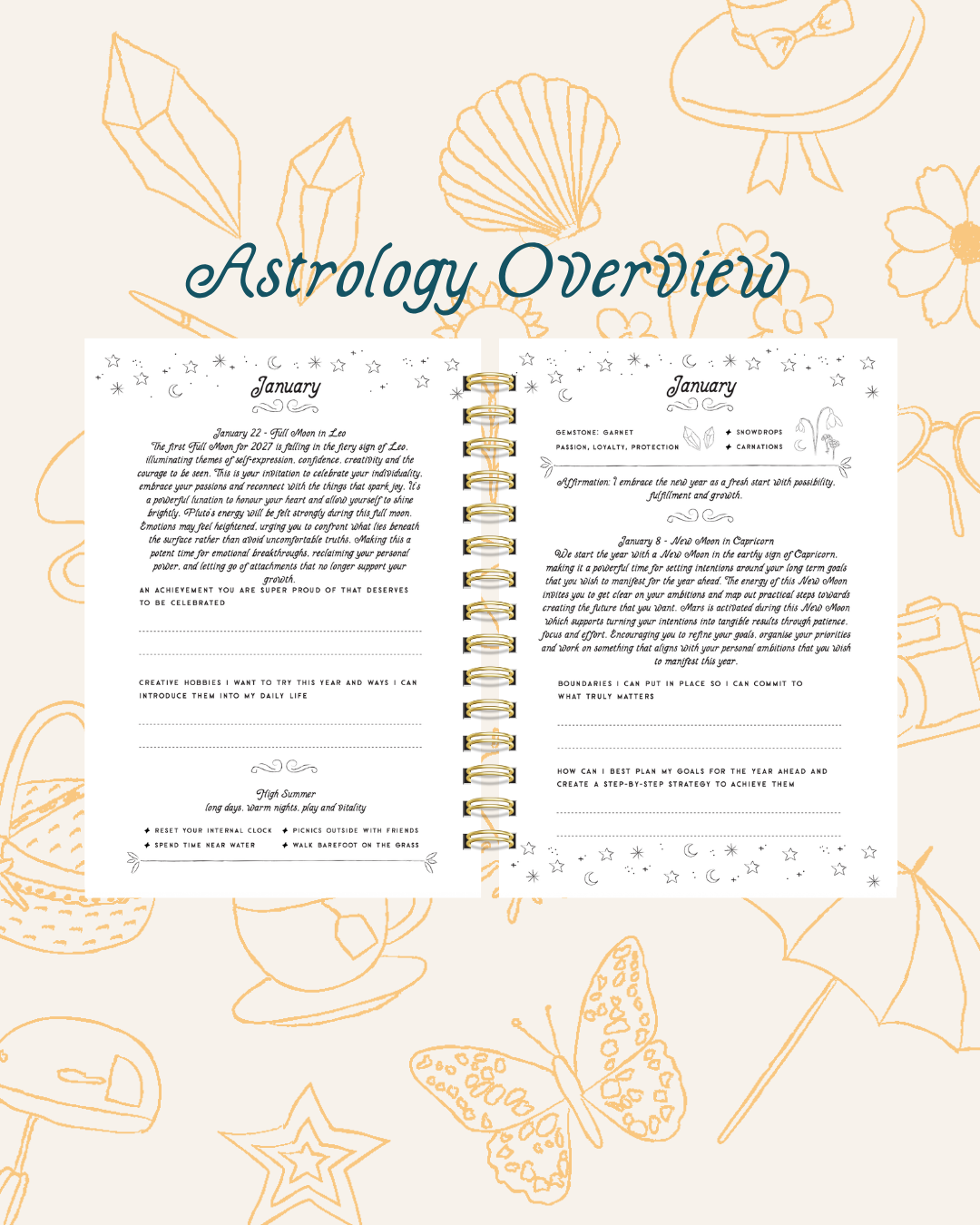 2027 Wellness Diary (PRE-ORDER)
